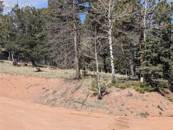 Florissant, CO 80816,971 Spring Valley LN