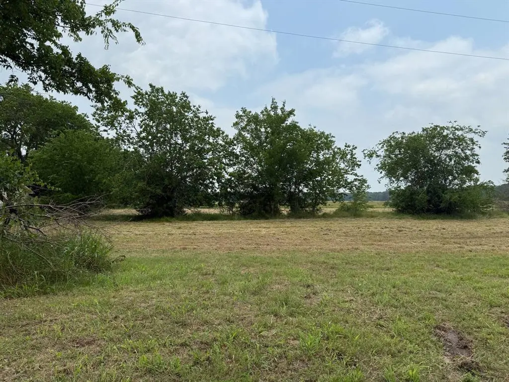 Wills Point, TX 75169,Lot 2 CR 120