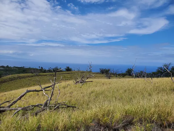 KAALA RD, Kamuela, HI 96743