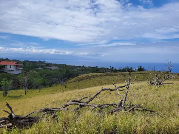 KAALA RD, Kamuela, HI 96743