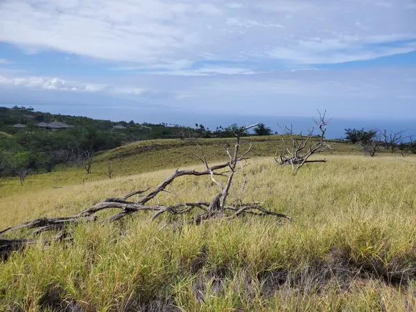 KAALA RD, Kamuela, HI 96743