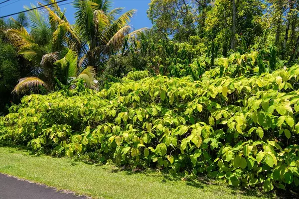 15-175 N PUNI LAPA LOOP, Pahoa, HI 96778