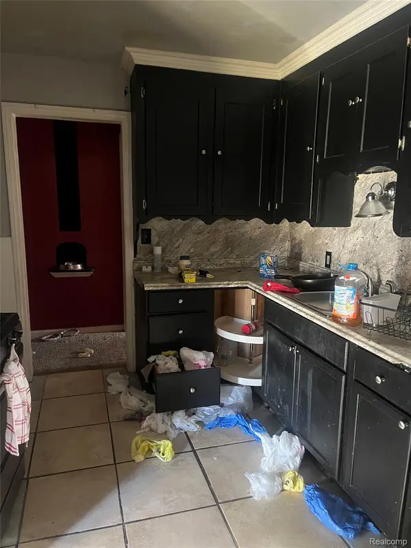 Detroit, MI 48205,15003 Young ST