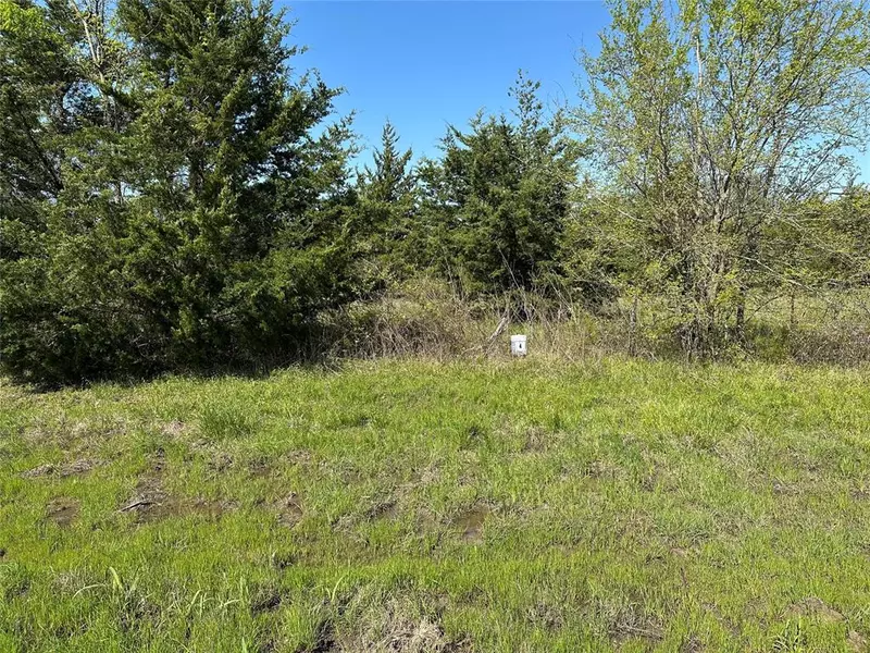 Tract 4 Farm to Market 1743, Honey Grove, TX 75446