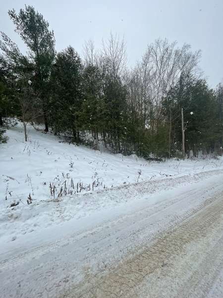 PTLT 37 TRENT VIEW DR, Trent Hills, ON K0L 1Y0