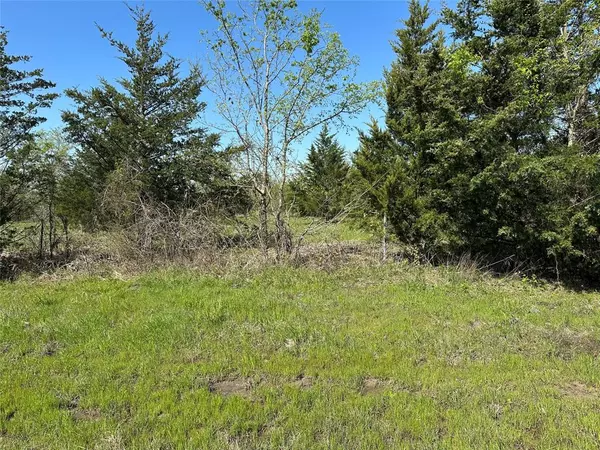 Honey Grove, TX 75446,Tract 4 Farm to Market 1743