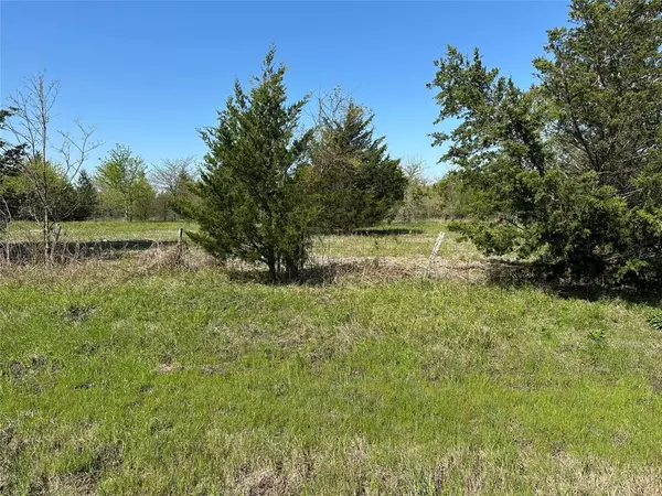 Honey Grove, TX 75446,Tract 4 Farm to Market 1743