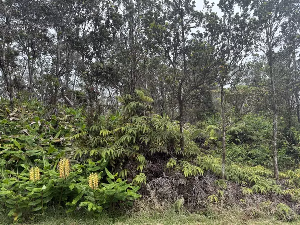 Volcano, HI 96785,ALA OHIA ST