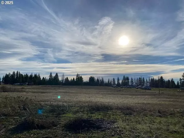 Goldendale, WA 98620,Sara View DR #Lot 3