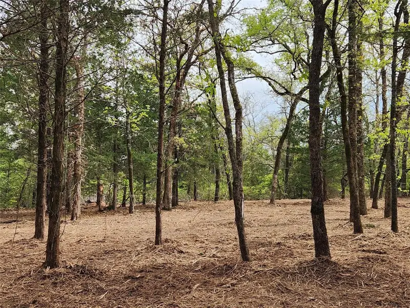 Lot 465 CR-4710, Larue, TX 75770