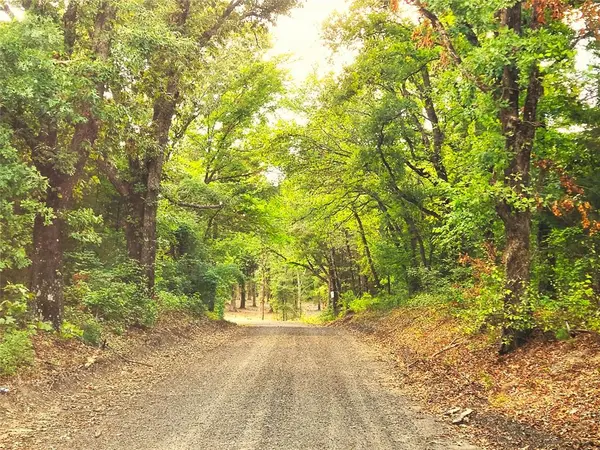 Larue, TX 75770,Lot 465 CR-4710