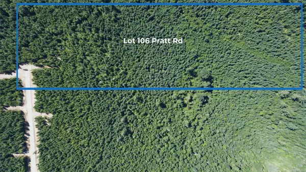 Hilliers, BC V0R 0B9,Lot 106 Pratt Rd