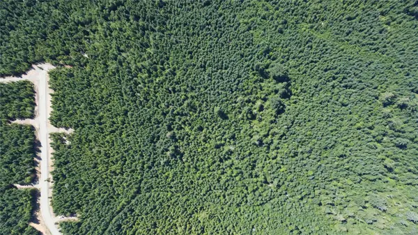 Hilliers, BC V0R 0B9,Lot 106 Pratt Rd