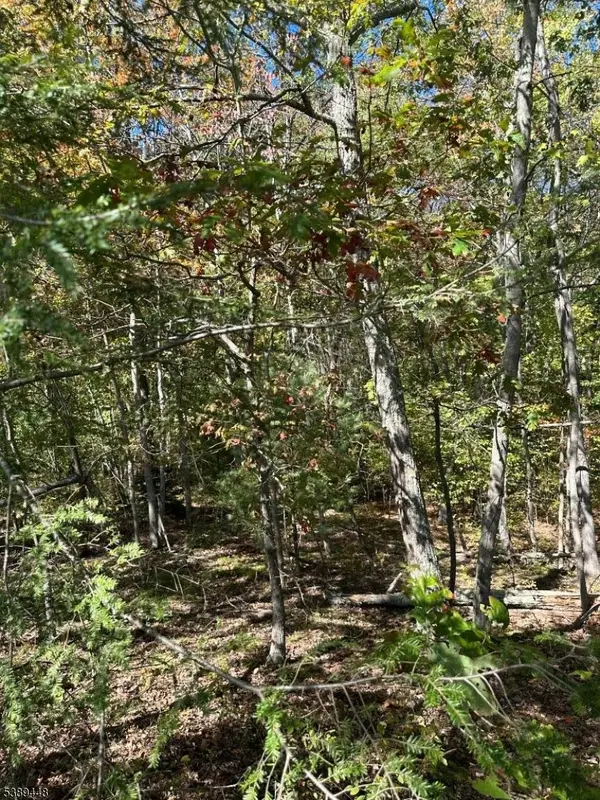 Frankford Twp., NJ 07860,17 17 West Owassa Tnpk