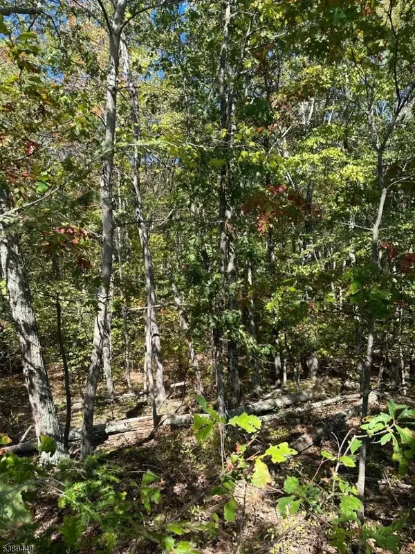 Frankford Twp., NJ 07860,17 17 West Owassa Tnpk