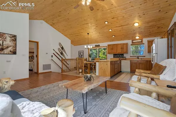 Divide, CO 80814,4069 Omer LN