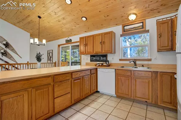 Divide, CO 80814,4069 Omer LN