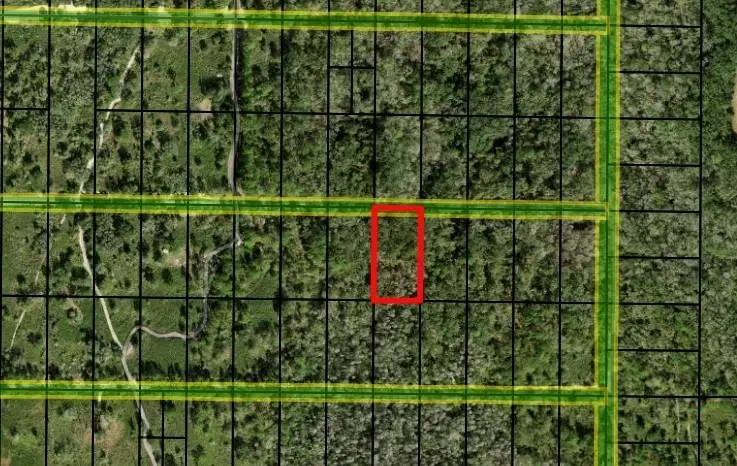 0 County RD 54 E, Kathleen, FL 33849