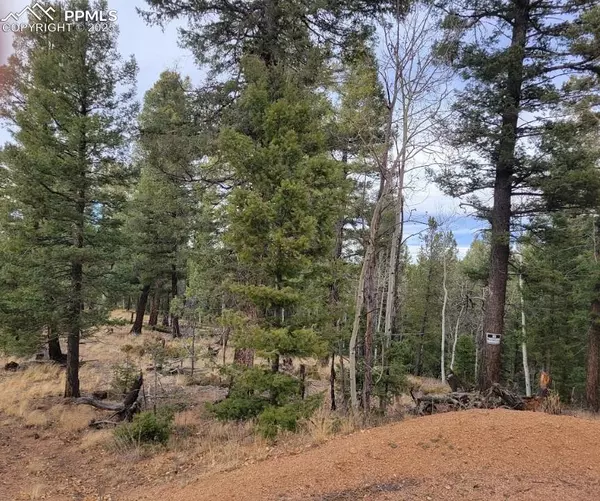 Florissant, CO 80816,180 Sentinel WAY