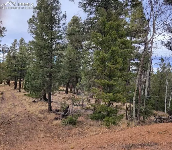 Florissant, CO 80816,180 Sentinel WAY