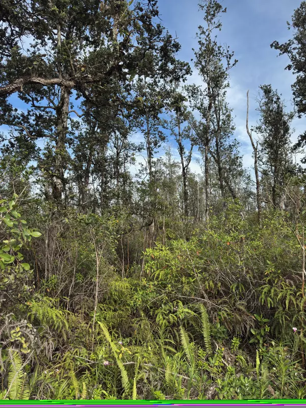 40TH AVE, Kurtistown, HI 96760