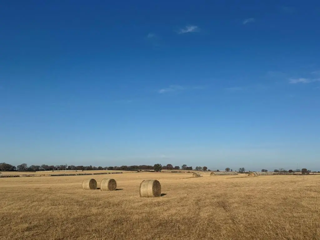 Tolar, TX 76476,TBD Nix Road