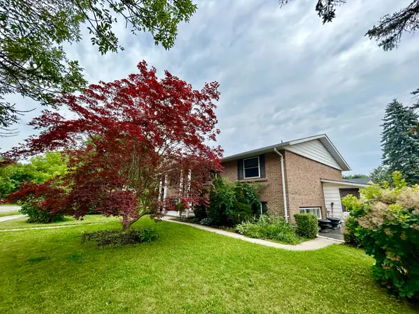 Kitchener, ON N2M 2Z2,4 Fernwood PL #Lower