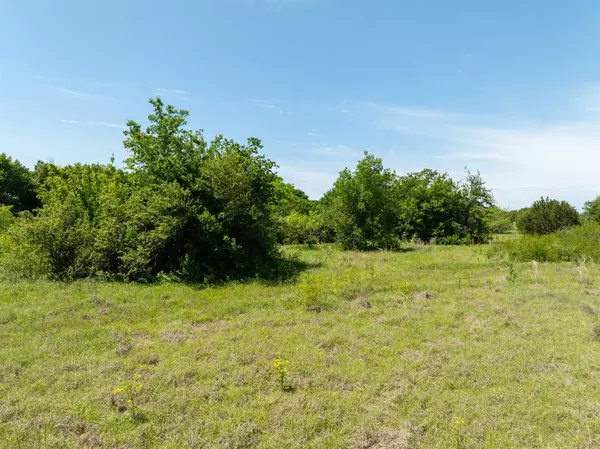 Whitney, TX 76692,TBD Lot 1 FM 933