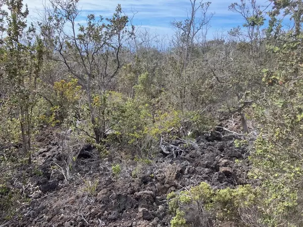 Ocean View, HI 96737,KOA LN