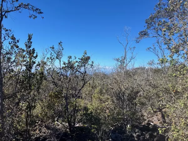 Ocean View, HI 96737,KOA LN