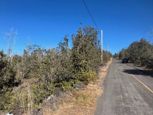 Ocean View, HI 96737,KOA LN