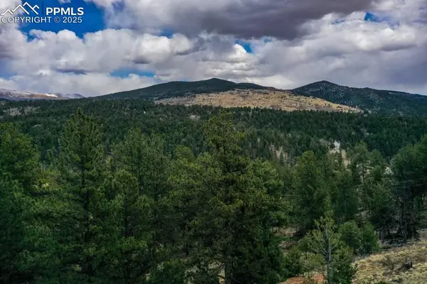 Cripple Creek, CO 80813,102 Blue Bell CIR