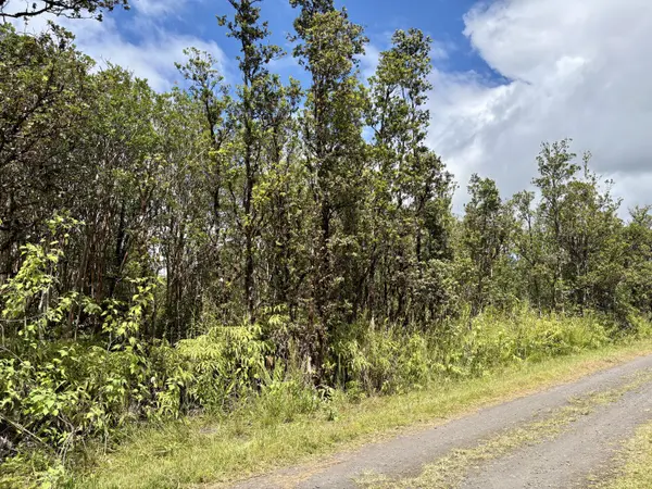 Mountain View, HI 96771,ALAPUA ST