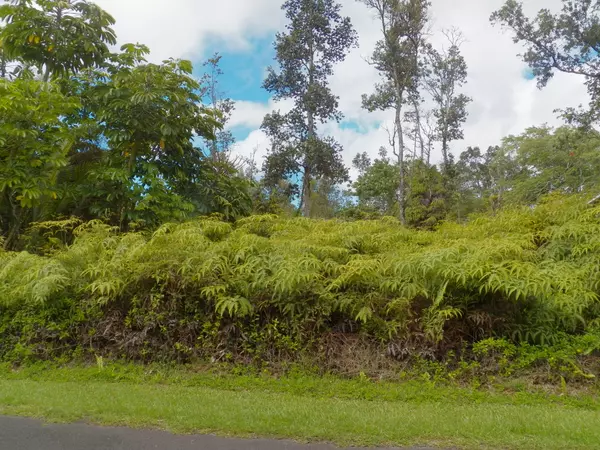 Pahoa, HI 96778,12-559 DIAMOND HEAD DR