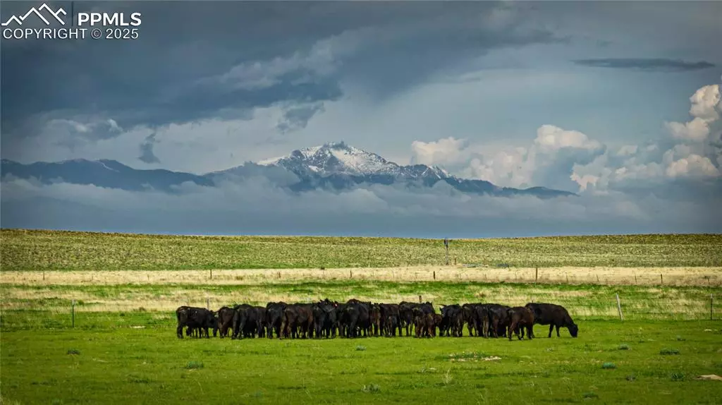 Colorado Springs, CO 80928,Squirrel Creek RD