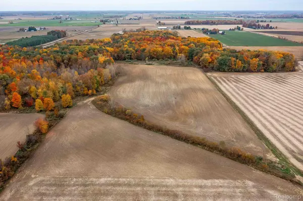 Marlette, MI 48453,0 WOOD RD