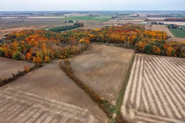 Marlette, MI 48453,0 WOOD RD