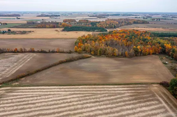 Marlette, MI 48453,0 WOOD RD