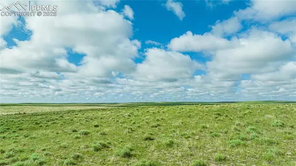 Colorado Springs, CO 80928,Squirrel Creek RD