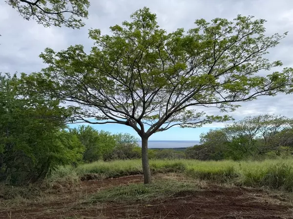 Naalehu, HI 96772,PUNALUU RD