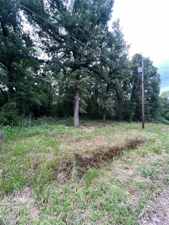 Mabank, TX 75156,117 Inca Trail