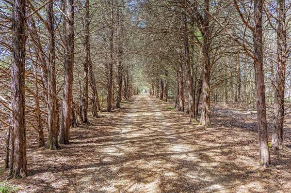 Ivanhoe, TX 75447,1393 County Road 2250