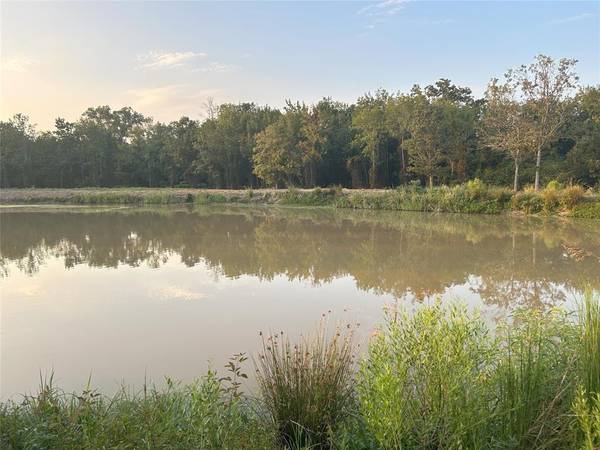 Willow Branch Road,  Lindale,  TX 75771