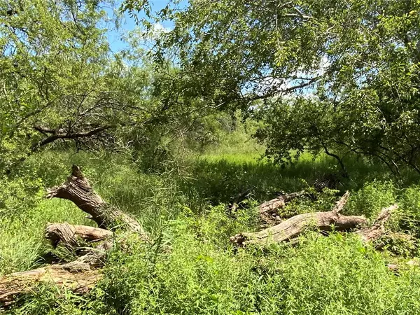 Sinton, TX 78387,14135 County Road 1144