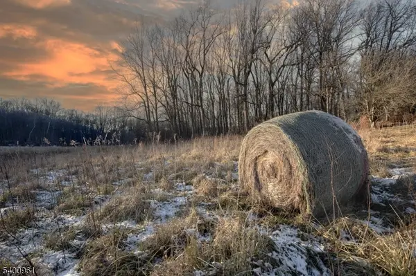 Tewksbury Twp., NJ 07830,11 Logan Drive