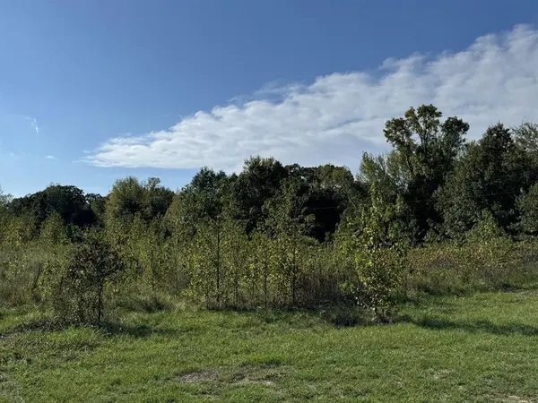 Bagwell, TX 75412,TBD FM 195