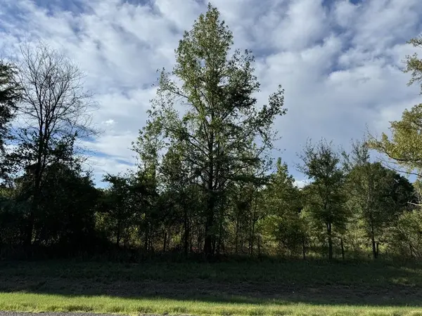 Bagwell, TX 75412,TBD FM 195