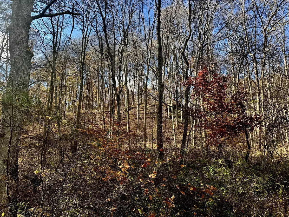 Racine, OH 45779,Horse Cave Rd