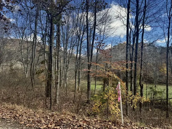 Racine, OH 45779,Horse Cave Rd