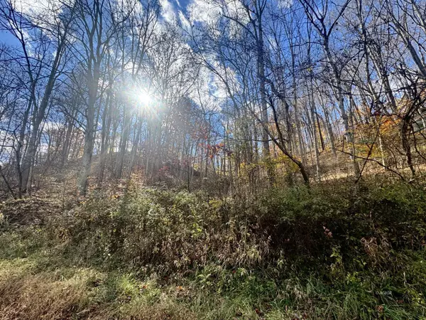 Racine, OH 45779,Horse Cave Rd